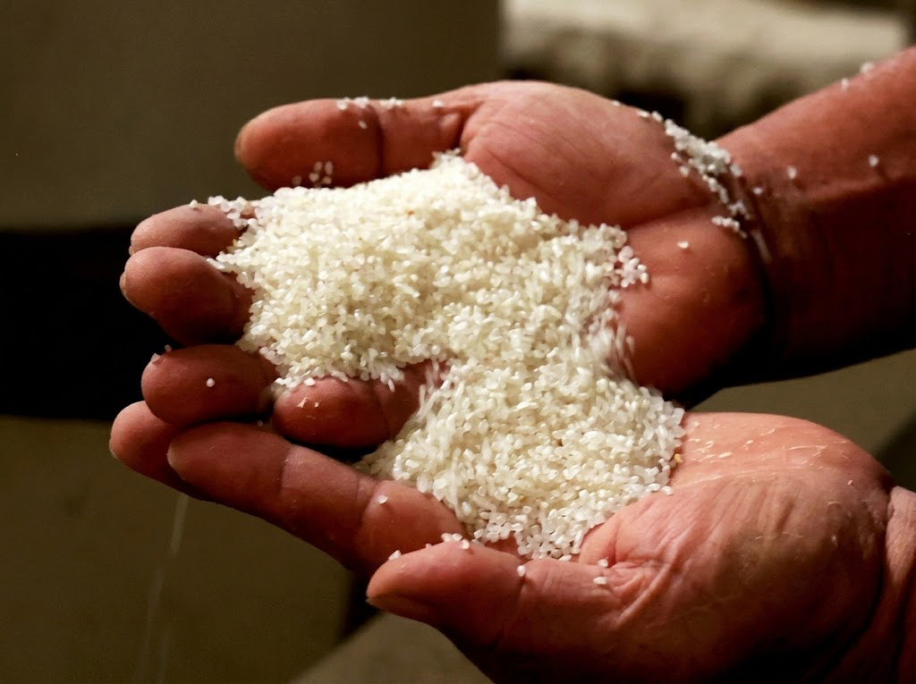 Broken Rice